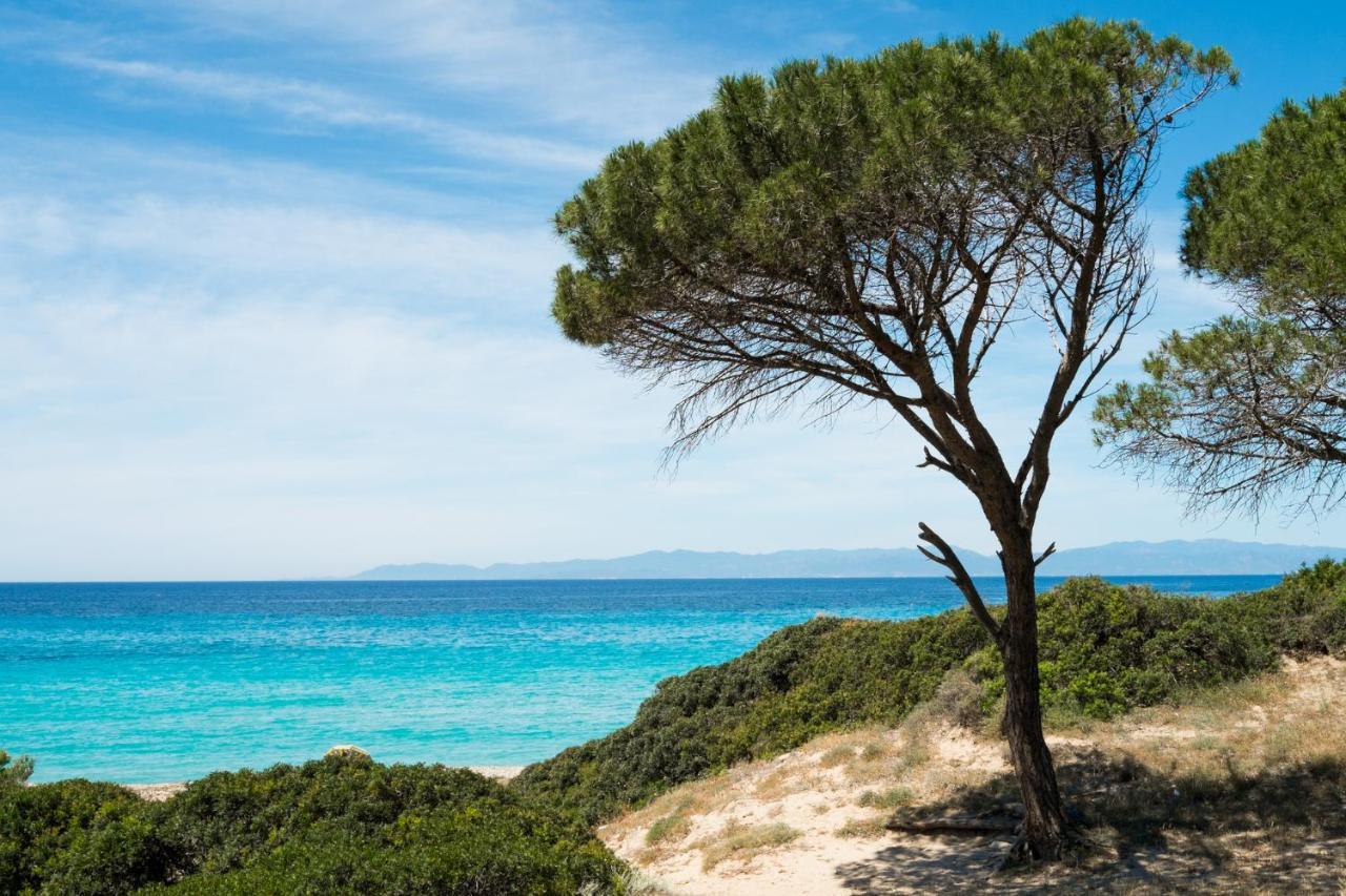 Appartamento Con Vista Mare A Terramala Terra Mala エクステリア 写真
